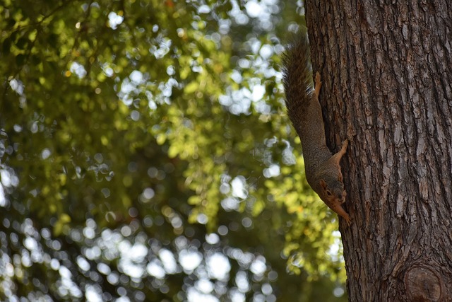 的精彩发挥 的精彩发挥