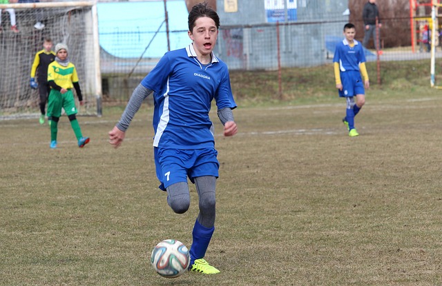 的适合性 的适合性