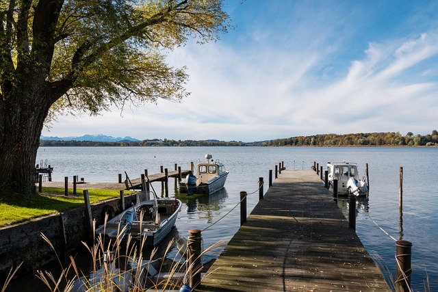 不仅让人们 不仅让人们