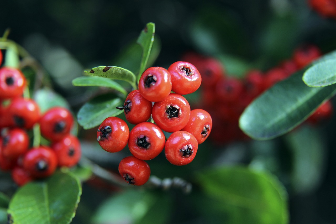 何打服了对 何打服了对